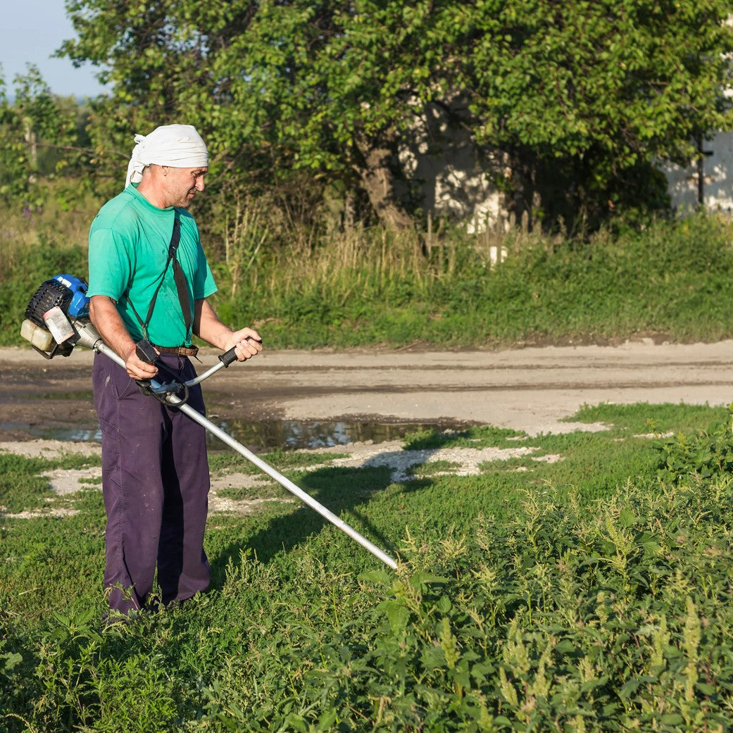 845e21359a1def5dd9370df4ae34e208 845e21359a1def5dd9370df4ae34e208